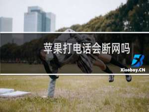 苹果打电话会断网吗