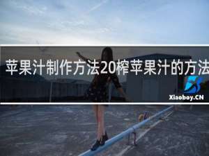 苹果汁制作方法 榨苹果汁的方法分享