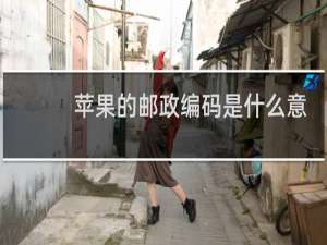 苹果的邮政编码是什么意思