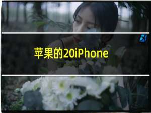 苹果的 iPhone 14 发布日期可能只剩下 4 个月了