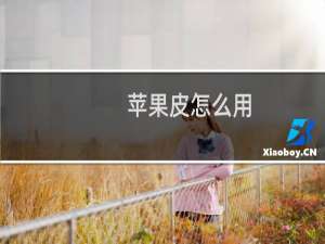 苹果皮怎么用（itouch使用苹果皮评测）