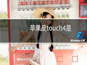 苹果皮touch4是什么（详细介绍苹果皮touch4）