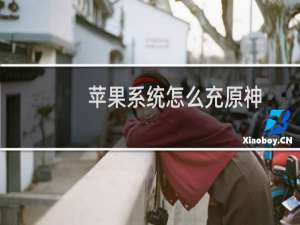 苹果系统怎么充原神