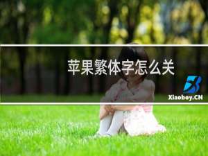 苹果繁体字怎么关