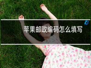 苹果邮政编码怎么填写