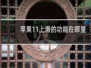 苹果11上滑的功能在哪里