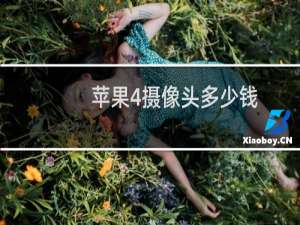 苹果4摄像头多少钱