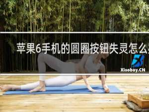 苹果6手机的圆圈按钮失灵怎么办