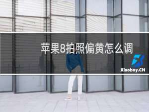 苹果8拍照偏黄怎么调整