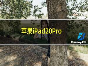 苹果iPad Pro 2020型号包括硬件麦克风断开连接以提高安全性