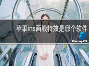 苹果ins面膜特效是哪个软件