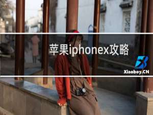 苹果iphonex攻略