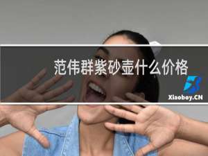 范伟群紫砂壶什么价格