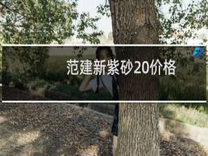 范建新紫砂 价格