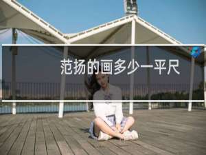 范扬的画多少一平尺