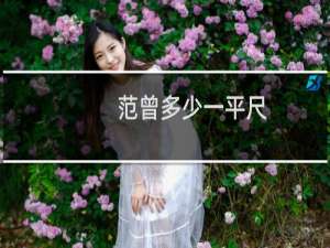 范曾多少一平尺