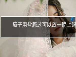 茄子用盐腌过可以放一晚上吗