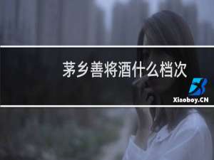 茅乡善将酒什么档次
