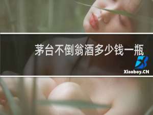 茅台不倒翁酒多少钱一瓶