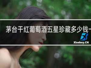 茅台干红葡萄酒五星珍藏多少钱一瓶