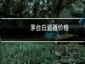 茅台白瓷器价格