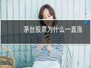 茅台股票为什么一直涨