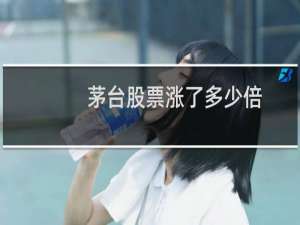 茅台股票涨了多少倍