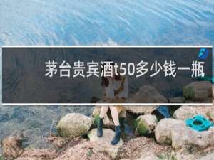 茅台贵宾酒t50多少钱一瓶