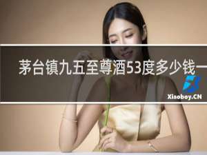 茅台镇九五至尊酒53度多少钱一瓶