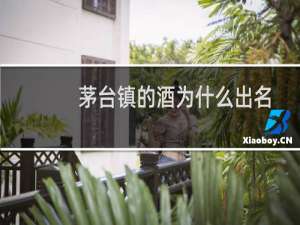 茅台镇的酒为什么出名