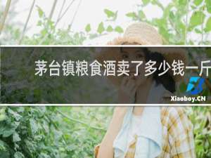 茅台镇粮食酒卖了多少钱一斤