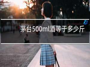 茅台500ml酒等于多少斤