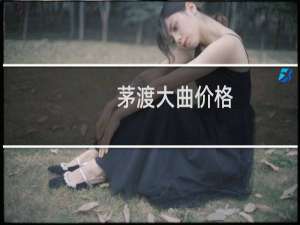 茅渡大曲价格