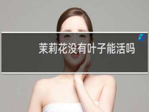 茉莉花没有叶子能活吗