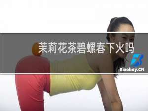 茉莉花茶碧螺春下火吗