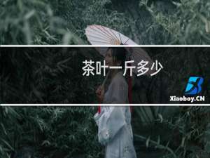 茶叶一斤多少