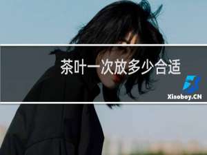茶叶一次放多少合适