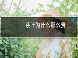 茶叶为什么那么贵