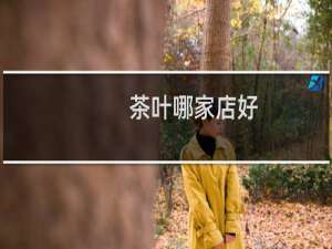 茶叶哪家店好