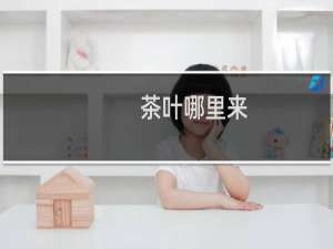 茶叶哪里来