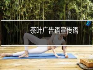 茶叶广告语宣传语