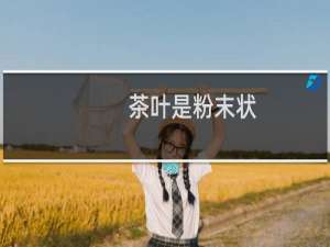 茶叶是粉末状