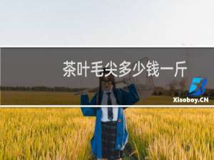 茶叶毛尖多少钱一斤