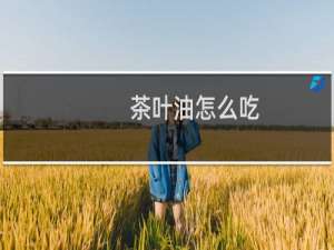 茶叶油怎么吃