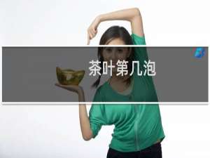 茶叶第几泡