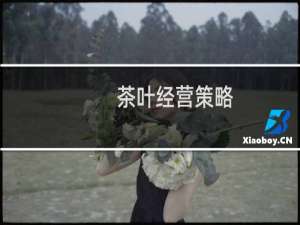 茶叶经营策略