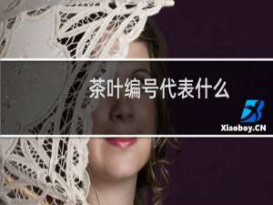 茶叶编号代表什么