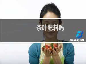 茶叶肥料吗