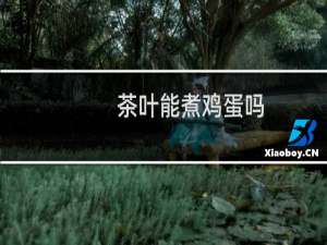 茶叶能煮鸡蛋吗
