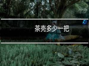 茶壳多少一把